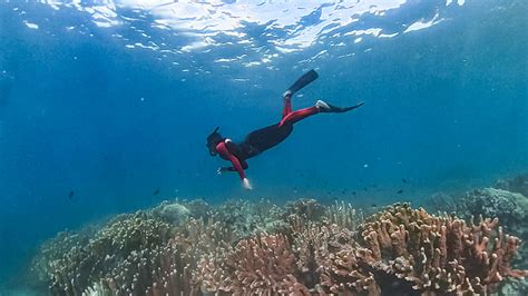 APNEA Philippines .